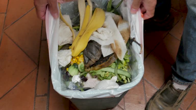  Bowling Green, VA Junk Removal Services Pros